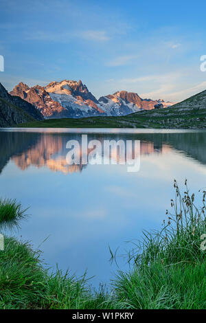 See Lac du Goleon mit Meije in Ecrins Region im Alpenglow, See Lac du Goleon, Nationalpark Ecrins, Dauphine, Dauphiné, Hautes Alpes, Frankreich Stockfoto