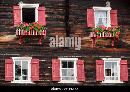 Windows am alten Walser Bauernhaus, Bauernhof, Warth, Lechweg, Tal von Lech, Tirol, Österreich Stockfoto