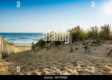 Weg durch die Dünen zum Strand, Halbinsel Quiberon, Bretagne, Frankreich Stockfoto