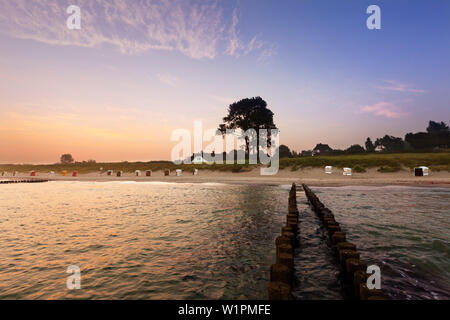 Wellenbrecher in der Nähe von Ahrenshoop, Fischland, Mecklenburg-Vorpommern, Deutschland Stockfoto