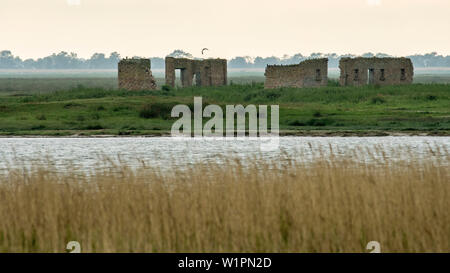 Zingst, Ostsee, Seebad, Wellness, Barther Bodden, Schilfgürtel, Ruine, Küstenstreifen, Brackwasser, Deutschland Stockfoto