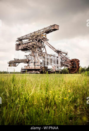 Schaufelradbagger "Big Wheel" in Ferropolis - Stadt aus Eisen, Dessau, Sachsen-Anhalt, Europäische Route der Industriekultur Stockfoto