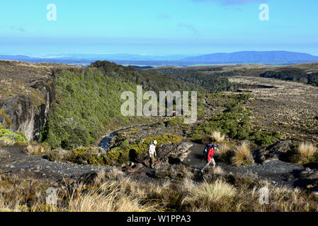 Taranki fällt, Tongariro National Park, North Island, Neuseeland Stockfoto