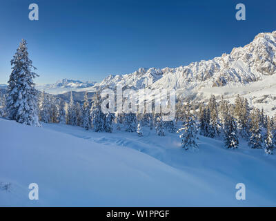 Blick Vom Kollmannsegg bewegende Steinernes Meer, Leoganger Steinberge, Pinzgau, Salzburg, Österreich Stockfoto