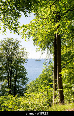 Blick vom Schloss Wiligrad auf dem Schweriner Außensee, Mecklenburgische Seenplatte, Mecklenburg-Vorpommern, Deutschland, Europa Stockfoto