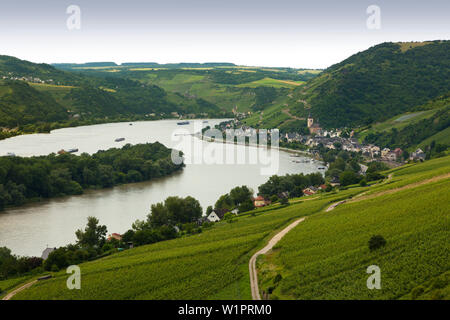 Blick vom Wanderweg Rheinsteig Trail über die Weinberge nach Lorch, Rhein, Hessen, Deutschland Stockfoto