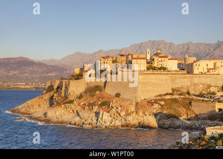 Zitadelle von Calvi im Abendlicht, Korsika, Südfrankreich, Frankreich, Südeuropa Stockfoto