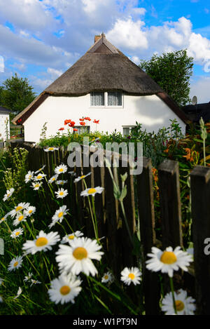 Haus mit Blumengarten in Hagen, Rügen, Ostseeküste, Mecklenburg-Vorpommern, Deutschland Stockfoto