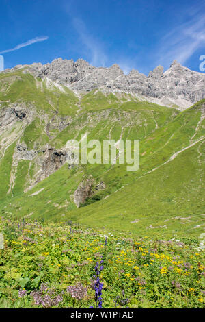 Lange Strecke Wandern, Berge, Gipfel, Wanderurlaub, Natur, Sommer Wiese, Blumen, Wiese, Alm, Wanderwege, Allgäu, Alpen, B Stockfoto