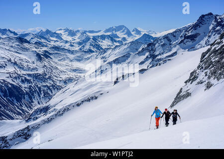 Drei Personen backcountry Skiing aufsteigender Richtung Grundschartner, Hochgall im Hintergrund, Grundschartner, Zillertaler Alpen, Tirol, Österreich Stockfoto