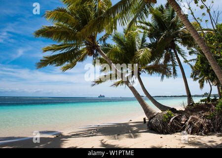 Palmen Schatten auf einen Sandstrand mit ruhigem Wasser, mit Expedition Kreuzfahrtschiff MS Bremen (Hapag-Lloyd Kreuzfahrten) in der Ferne scharfkantig, Fagamalo, S Stockfoto