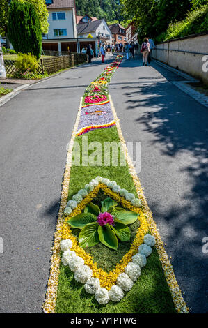 Fronleichnam Fronleichnam Prozession, Teppich von Blumen, Sipplingen, Bodensee, Baden-Württemberg, Deutschland, Europa Stockfoto