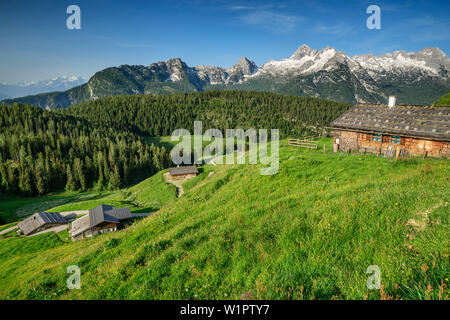 Mehrere Almen mit Birnhorn in Leogang Berge, Kallbrunnalm, Berchtesgadener Alpen, Salzburg, Österreich Stockfoto