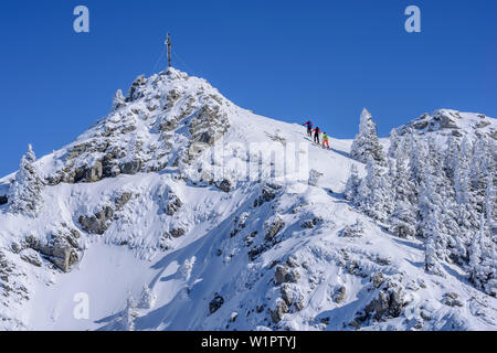 Drei Personen backcountry Skiing aufsteigender Richtung Wildalpjoch, Wildalpjoch, Bayerische Alpen, Oberbayern, Bayern, Deutschland Stockfoto