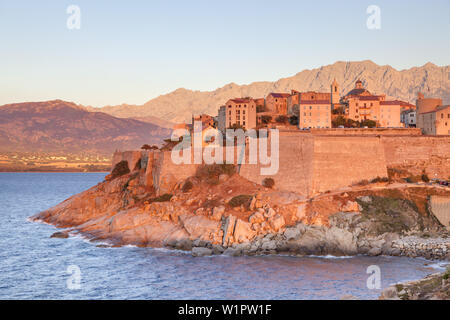 Zitadelle von Calvi im Abendlicht, Korsika, Südfrankreich, Frankreich, Südeuropa Stockfoto