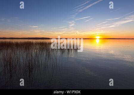 Sonnenuntergang am Schweriner See, Mecklenburgische Seenplatte, Mecklenburg-Vorpommern, Deutschland Stockfoto