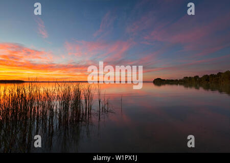 Schweriner See, Mecklenburgische Seenplatte, Mecklenburg-Vorpommern, Deutschland Stockfoto