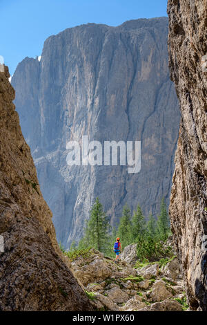 Frau wandern zwischen Felsspitzen in Richtung fixed-Rope route Pisciadu, fixed-Rope route Pisciadu, Sella, Dolomiten, UNESCO Weltnaturerbe Dolo Stockfoto