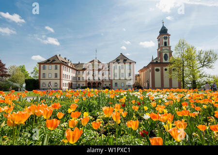 Schloss und Schlosskirche, Tulpen in Front, Insel Mainau, Baden-Württemberg, Deutschland Stockfoto