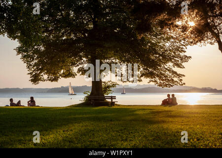 2 Paare, sitzen unter einem großen Baum auf dem Rasen im Strandbad übersee Stockfoto