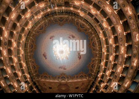 La Fenice Theater, Decke, Venedig, Venezia, Venedig, Italien, Europa Stockfoto