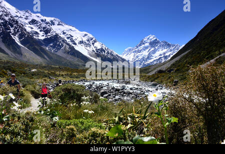 Hiken im Hooker Valley mit Mt. Koch, Mount Cook National Park, South Island, Neuseeland Stockfoto