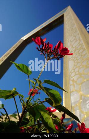 Dubai Frame, Pflanzen, Blumen, Zaabel Park, Dubai, VAE, Vereinigte Arabische Emirate Stockfoto