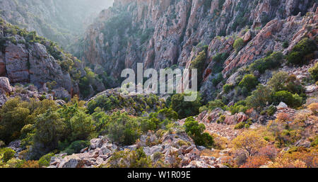 Les Calanques de Piana, Korsika, Frankreich Stockfoto