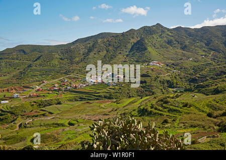 Blick über üppige Vegetation in Las Portelas, Teno Gebirge, Teneriffa, Kanarische Inseln, Islas Canarias, Atlantik, Spanien, Europa Stockfoto