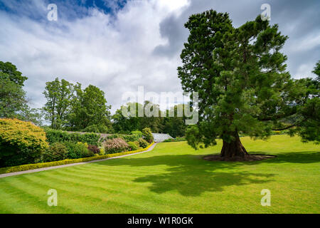 Ummauerten Garten bei NTS Geilston Garten in Cardross, Argyll und Bute, Schottland, Großbritannien Stockfoto