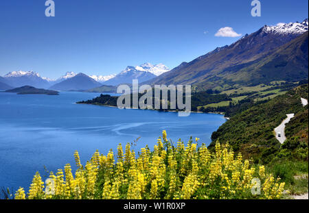 Am Wakatipu See in der Nähe von Burnie, Südinsel, Neuseeland Stockfoto