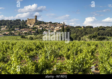 Weinberge in Châteauneuf du Pape, Vaucluse, Provence, Frankreich Stockfoto