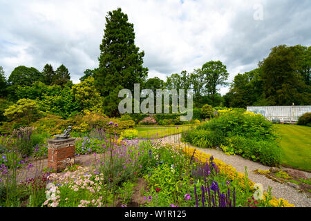 NTS Geilston Garten in Cardross, Argyll und Bute, Schottland, Großbritannien Stockfoto