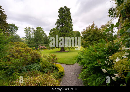 Ummauerten Garten bei NTS Geilston Garten in Cardross, Argyll und Bute, Schottland, Großbritannien Stockfoto