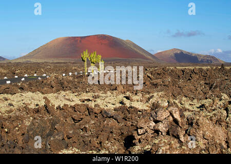 Parque Natural de los Volcanes in der Nähe von Masdache, Lanzarote, Kanarische Inseln, Islas Canarias, Spanien, Europa Stockfoto