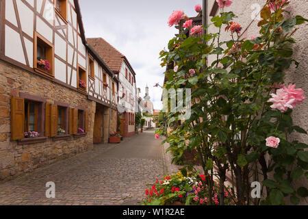 Straße in der Altstadt, Bad Bergzabern, Pfälzer Wald, Rheinland-Pfalz, Deutschland Stockfoto