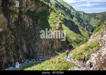 Lange Strecke Wandern, Bergwelt, Wasserlauf, Mountain River, Schlucht, Wanderurlaub, Natur, Sommer Blumen, Almwiese, Wanderwege, Al Stockfoto