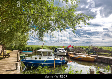 Marina, Lütow, Halbinsel Gnitz Insel Usedom, Mecklenburg-Vorpommern, Deutschland Stockfoto