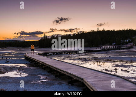 Sonnenuntergang in der Norris Geyser Basin, Yellowstone National Park, Wyoming, USA Stockfoto