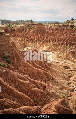 Surreale Landschaft bei Tatacoa Wüste (Desierto de la Tatacoa), Gemeinde Villavieja in der Nähe Neiva, Departmento Huila, Kolumbien, Südamerika Stockfoto