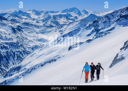 Drei Personen backcountry Skiing aufsteigender Richtung Grundschartner, Hochgall im Hintergrund, Grundschartner, Zillertaler Alpen, Tirol, Österreich Stockfoto