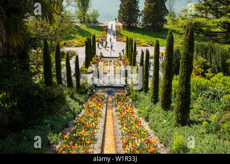 treppen-und-beete-mit-tulpen-im-fr-hling-insel-mainau-bodensee-baden