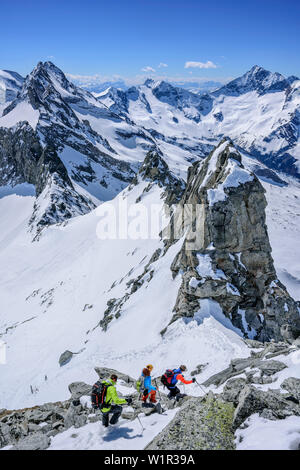 Drei Personen backcountry Skiing in absteigender Reihenfolge von Grundschartner, Grundschartner, Zillertaler Alpen, Tirol, Österreich Stockfoto