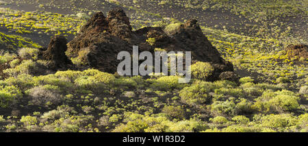 Vulkanische Landschaft am Pico de Tablas, Insel La Palma, Kanarische Inseln, Spanien Stockfoto