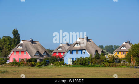 "Bunten reetgedeckten Häusern in Ahrenshoop, Fischland, Darß, Ostsee, Mecklenburg-Vorpommern, Deutschland, Europa" Stockfoto