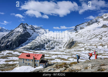 Drei Personen backcountry Skiing in Richtung Hütte Rifugio Madrone, Hütte Rifugio Madrone, Adamello Gruppe, Trentino, Italien Stockfoto