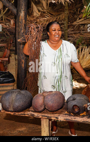 Lokale Reiseleiter mit Coco De Mer, Vallee de Mei, Praslin, Seychellen Stockfoto