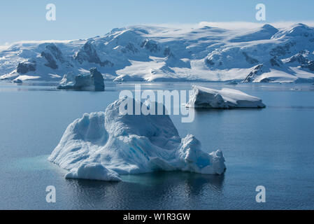 Eisberge treiben in der Bucht vor einer verschneiten Gebirge, Wilhelmina Bay, Antarktische Halbinsel, Antarktis Stockfoto