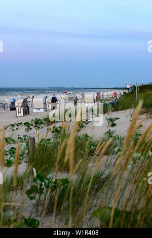Liegestühle mit Strandhafer im Abendlicht, Ahlbeck, Usedom, Ostseeküste, Mecklenburg-Vorpommern, Deutschland Stockfoto