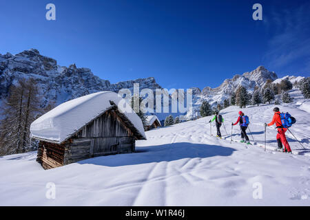 Drei Personen backcountry Skiing aufsteigend zu Medalges, Geisler Bereich im Hintergrund, Medalges, Naturpark Puez-Geisler, UNESCO-Weltkulturerbe D Stockfoto